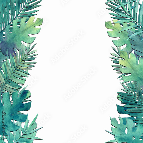 Exotic tropical palm tree. Frame border background. Summer hand drawn illustr...