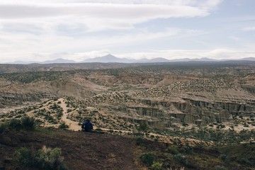 Wall Mural - desert landscape