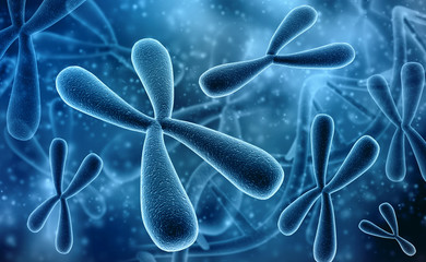 Wall Mural - X and Y chromosomes. Genetics concept. 3D rendered illustration