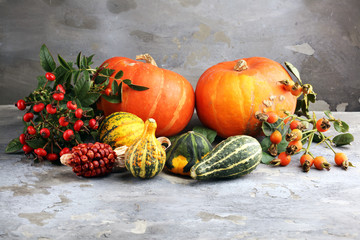 Diverse assortment of pumpkins on a stone background. Autumn harvest