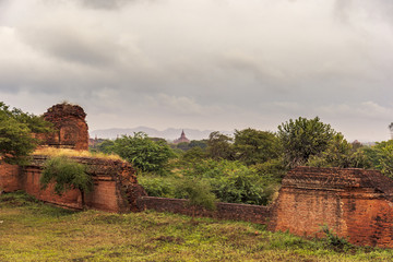 Wall Mural - The plain of Bagan (Pagan), Mandalay, Myanmar