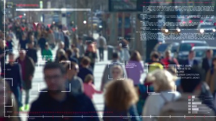 Tracking people in the crowd