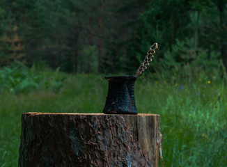 coffee pot on a tree stump