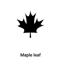 Wall Mural - maple leaf icon vector isolated on white background, logo concept of maple leaf sign on transparent 
