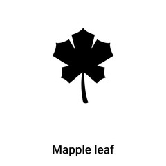 Wall Mural - mapple leaf icon vector isolated on white background, logo concept of mapple leaf sign on transparen