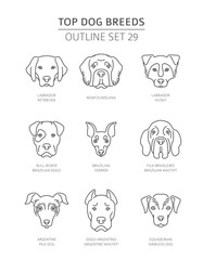 Wall Mural - Top dog breeds. Pet outline collection. Vector illustration