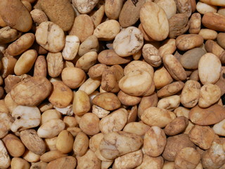 background of stones in garden