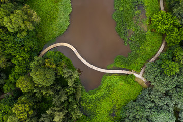 Wall Mural - top down of hong kong wetland park