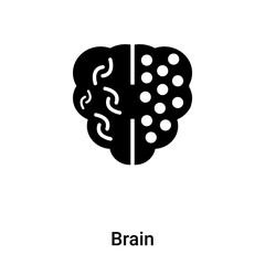 Brain icon vector isolated on white background, logo concept of Brain sign on transparent background, black filled symbol