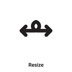 Poster - Resize icon vector isolated on white background, logo concept of Resize sign on transparent background, black filled symbol