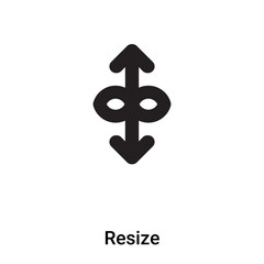 Poster - Resize icon vector isolated on white background, logo concept of Resize sign on transparent background, black filled symbol