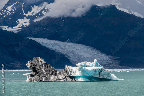 Fotografia, Obraz Icebergs near Columbia glacier under the clouds