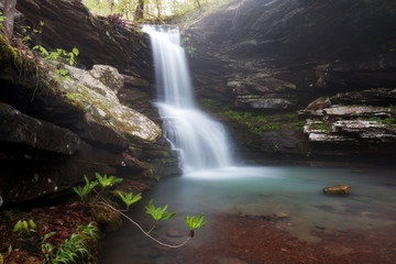 Wall Mural - Magnolia Falls in the Fog