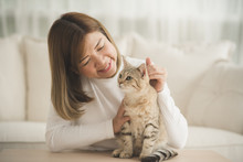 Asian Young Woman Playing With Cat In Living Room