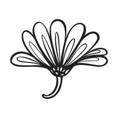 Poster - Herb calendula icon. Simple illustration of herb calendula vector icon for web design isolated on white background