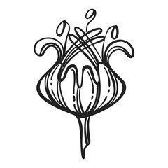 Poster - Rose flower icon. Simple illustration of rose flower vector icon for web design isolated on white background
