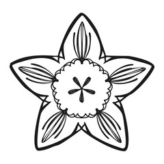 Poster - Summer flower icon. Simple illustration of summer flower vector icon for web design isolated on white background