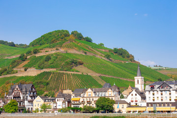 Canvas Print - Charming village in Germany along the Rhine River with view of terraced vineyards,  hills and buildings