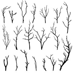 hand-drawn set of twigs