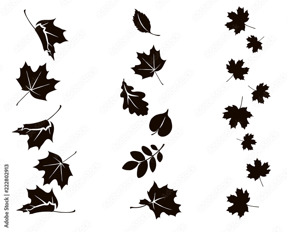 Autumn falling leaves. Vector silhouette of maple, oak, rowan and other  leaves. Set of autumn decorations. Stock Vector | Adobe Stock, image size:1000x808