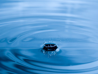 Wall Mural - close up drop of water on blue background