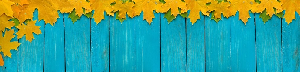 Fototapete - background of autumn colored leaves, panoramic banner