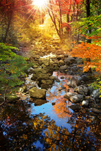 Water Stream Through Autumn Trees In Rural Vermont