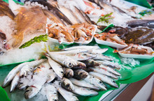 Fish On Fish Market