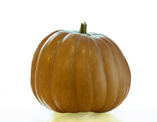 pumpkin on white background