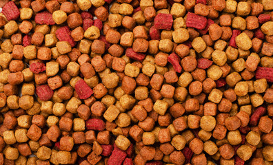 Dried dog, cat or pet food background