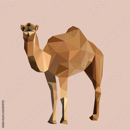 Colorful polygonal style design of wild camel in yellow colors Poster Mural XXL