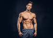 © Fxquadro - Handsome shirtless ectomorph bodybuilder with stylish hair posing on a dark background.