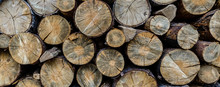 Chopped Wood Straightened In Row. Wooden Logs For Heating. Wall Made Of Cut Logs. Fuel For Fireplace And Stove. Natural Wooden Texture. Stock Of Logs For Winter Heating. Rustic Rural Scene.