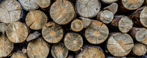 Chopped Wood Straightened In Row Wooden Logs For Heating Wall
