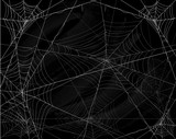 Fototapeta  - Black Halloween background with spiderwebs