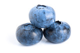 Fototapeta  - three fresh blueberry isolated on white background