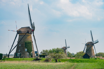 Afternoon view of the famous Kinderdijk winmill village