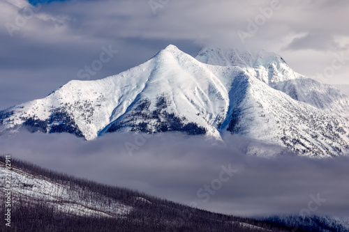 Fotografia, Obraz Mountain peak and fog in winter, Glacier National Park, Montana