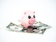 Photograph of a cute pink ceramic piggy bank sitting on top of a pile of united states dollar bills and coins isolated on a white background.