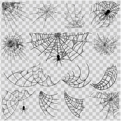 vector illustration halloween spider web isolated on transparent background. hector venom cobweb set