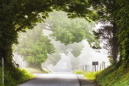 Fotografía Cades Cove Road in the Mist