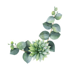 Watercolor Vector Wreath With Eucalyptus Leaves And Succulents.