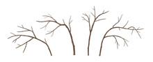 Vector Tree Branches