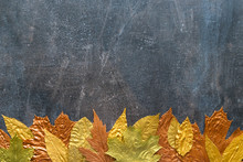 Autumn Metallic Gold Copper Leaf Frame. Different Fall Metallic Paint Leaves On Dark Natural Background With Copy Space. Horizontal Mockup With Autumn Leaves Below