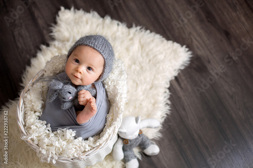 Fotografie, Obraz Sweet baby boy in basket, holding and hugging teddy bear, looking curiously at c