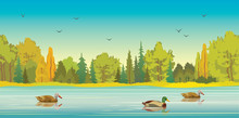 Autumn Forest, Lake And Ducks.