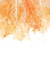 Watercolor autumn abstract background with leaves. Template for your design, flyer, card, banner and poster. Vector illustration