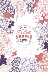 Grape berry frame template. Hand drawn vector fruit illustration. Engraved style vintage botanical background.