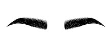 Eyebrow Perfectly Shaped. Permanent Make-up And Tattooing. Cosmetic For Eyebrows.