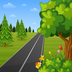 Wall Mural - Summer landscape with trees and road